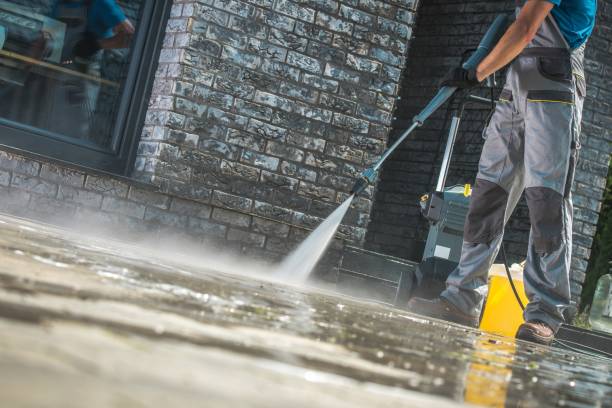 Best Driveway Pressure Washing  in Peculiar, MO